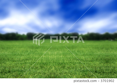 park view park view 3701902