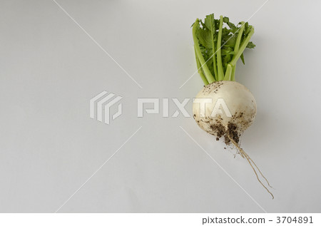 Kabu (muddy) 3704891