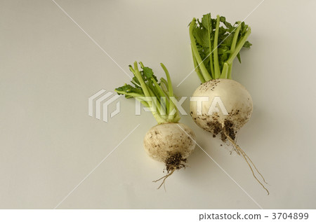 Kabu (muddy) 3704899