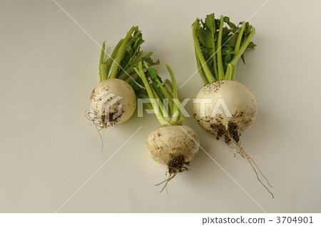 Kabu (muddy) 3704901