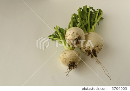 Kabu (muddy) 3704903