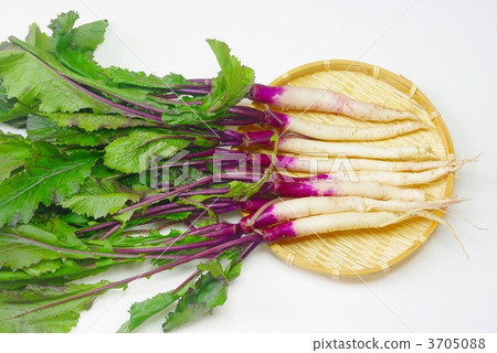 日本蔬菜 3705088