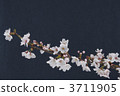櫻桃樹 3711905