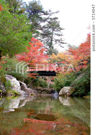 Konoyagi公園 3714047