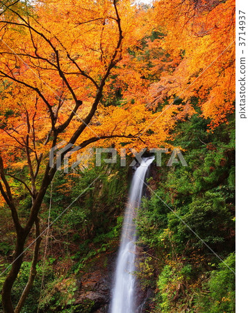 秋天的任期瀑布 3714937