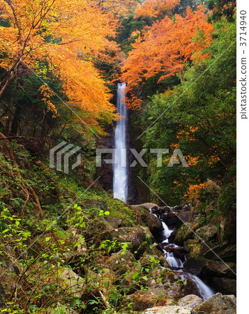 秋天的任期瀑布 3714940