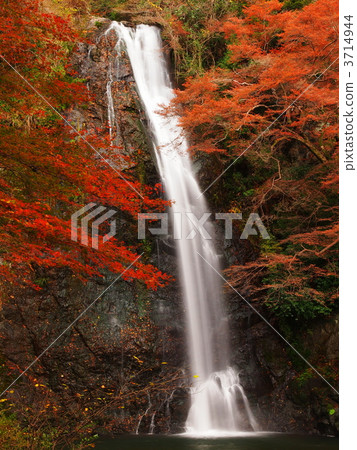 Falls of Minoo of autumnal leaves Falls of Minoo of autumnal leaves 3714944