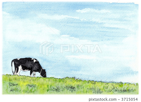 Cow of Mikahara plateau 3715054
