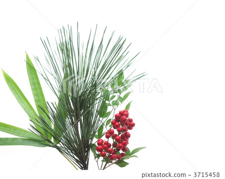 南方松和竹草 南方松和竹草 3715458