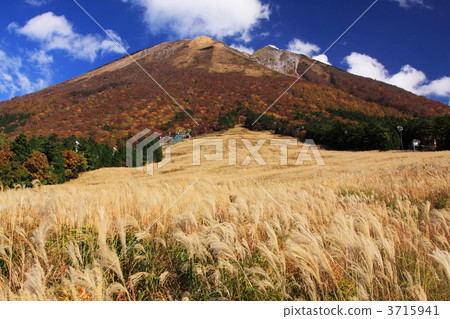 Daisen和山羊在秋天 3715941