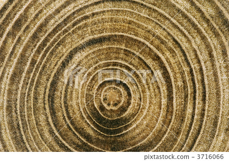 塞納的戒指 3716066