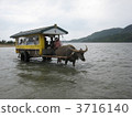 Sea buffalo car 3716140