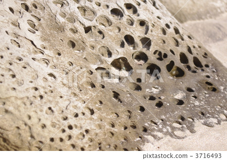 離開島嶼 風化 侵蝕 3716493