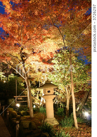 秋葉照亮了鎌倉·哈斯神廟的顏色 秋葉照亮了鎌倉·哈斯神廟的顏色 3726297