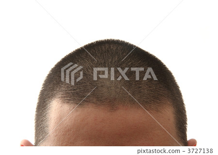 Shaved head (three cuttings) Shaved head (three cuttings) 3727138