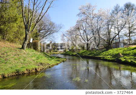Oshino village in early spring 3727464