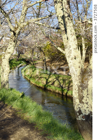 Katsuragawa River 3727508