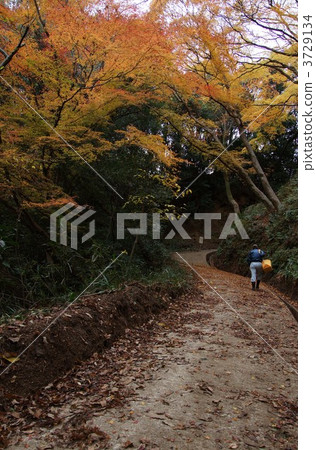 kehaizaka, person, hill road 3729134