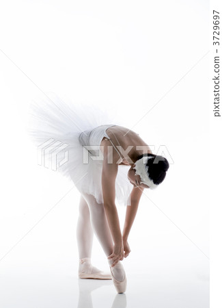 芭蕾舞女演員 3729697