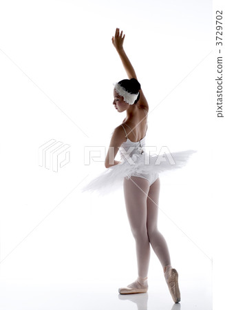 芭蕾舞女演員 3729702