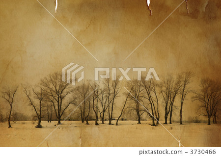 vintage winter 3730466