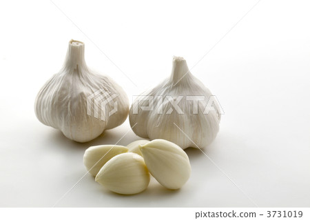 白色的六片 大蒜 蒜 3731019