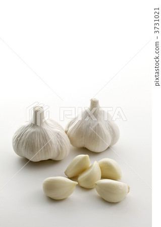 白色的六片 大蒜 蒜 3731021