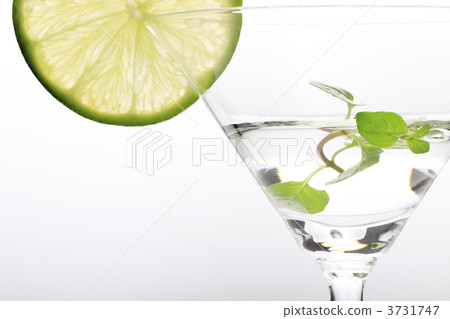 雞尾酒 雞尾酒 3731747