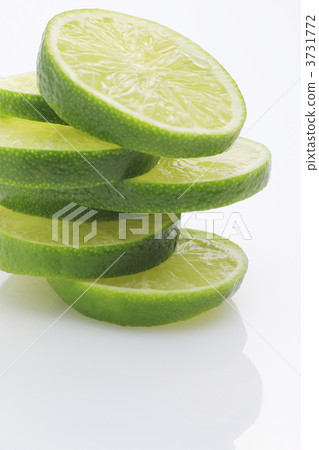 lime lime 3731772