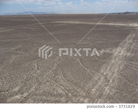 "Wood" (Peru) from Mirador (Observatory) of World Heritage "Nazca's Landscape" 3731829