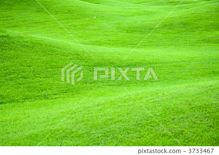 Green pastures 2 Green pastures 2 3733467