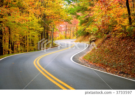 Winding road Winding road 3733597