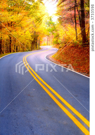 Winding road Winding road 3733598
