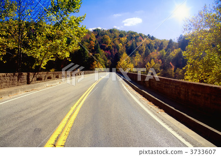 Road through Appalachians 3733607