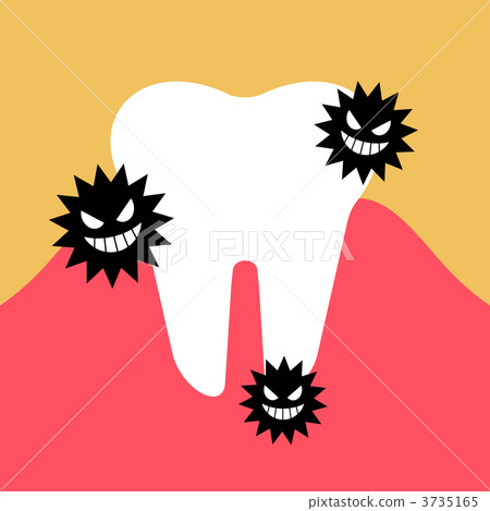 蟲草 蟲草 3735165