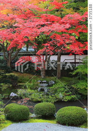 Autumn leaves of Kyoto Sumihido Temples Okachi garden 3735188