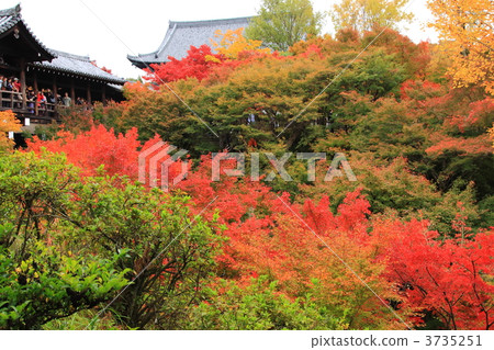 Tonenbashi秋葉在Tofukuji寺廟的在京都 Tonenbashi秋葉在Tofukuji寺廟的在京都 3735251