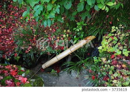 Koshi Shishido's Shishido Otoshi Koshi Shishido's Shishido Otoshi 3735619