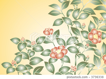 camellia sasanqua, camellia hiemalis, rose of winter 3736338