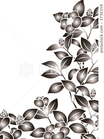 茶梅 花紋 樣式 3736359