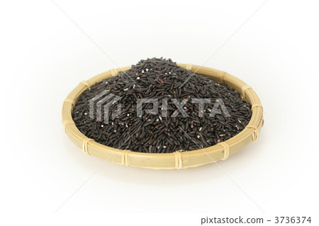 Black purple rice 3736374