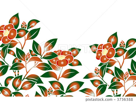 camellia sasanqua, camellia hiemalis, rose of winter 3736388