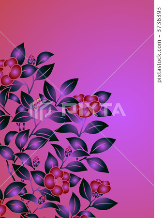 茶梅 花紋 樣式 3736393