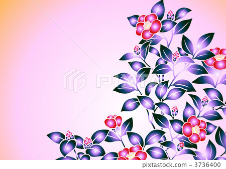 camellia sasanqua, camellia hiemalis, rose of winter 3736400