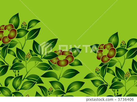 茶梅 花紋 樣式 3736406