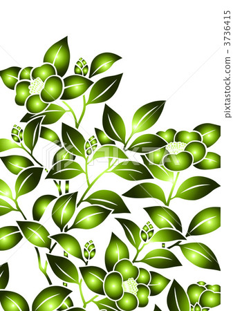 茶梅 花紋 樣式 3736415