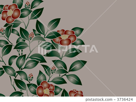 茶梅 花紋 樣式 3736424