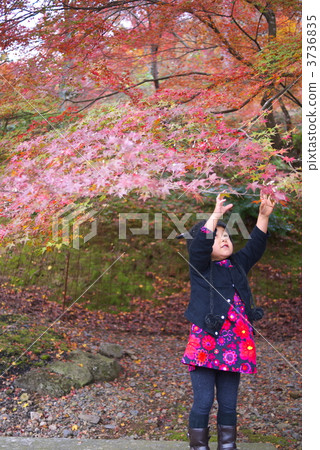 person, extend one's hand, younger 3736835