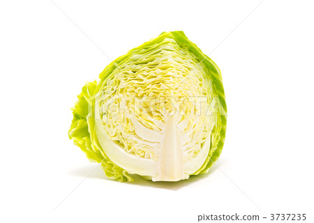 1/4 of cabbage 1/4 of cabbage 3737235