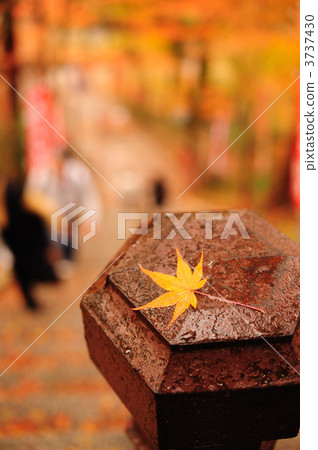 在山門口 在山門口 3737430